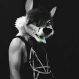 Avatar photo