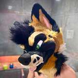 Avatar photo